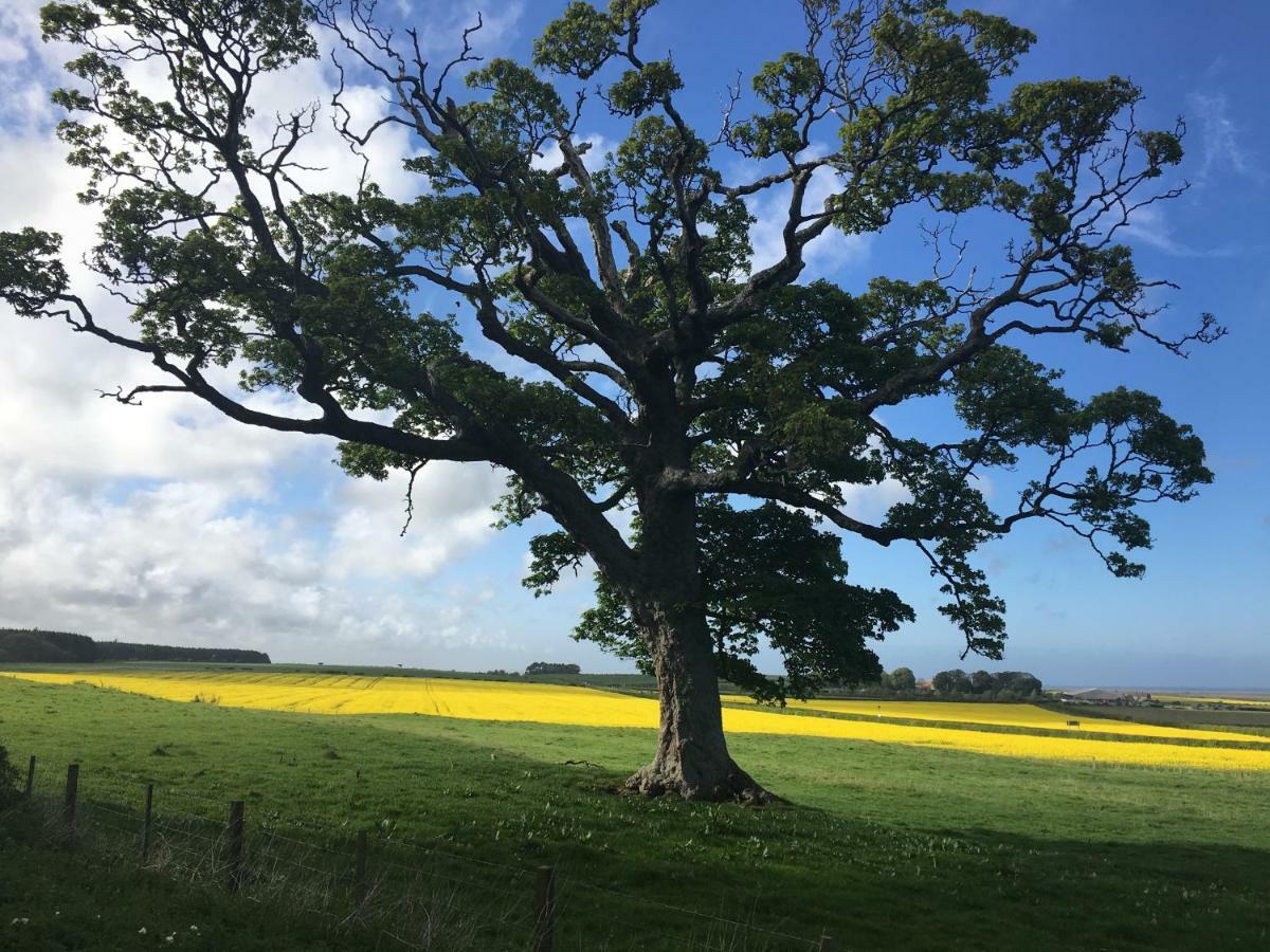 Buckton Farmhouse Belford Luaran gambar
